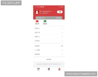 客户反馈